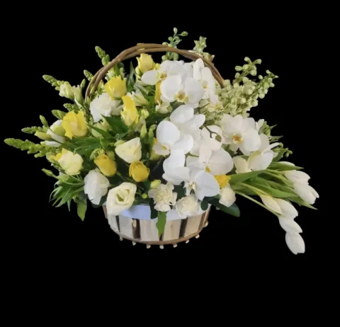 Harmonious white basket