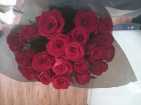 Romance