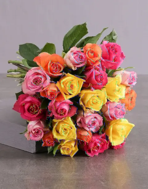 RAINBOW ROSES