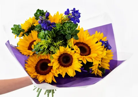 Ray of Sunshine - Medium