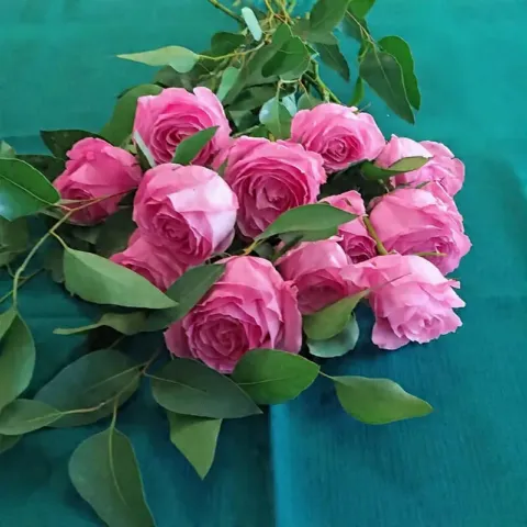 Rose Bouquet – Pink