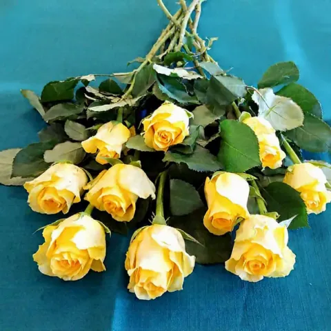 Rose Bouquet – Yellow