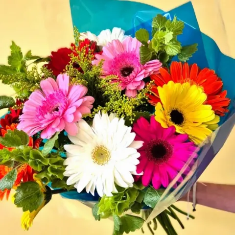 Bright Mixed Gerberas