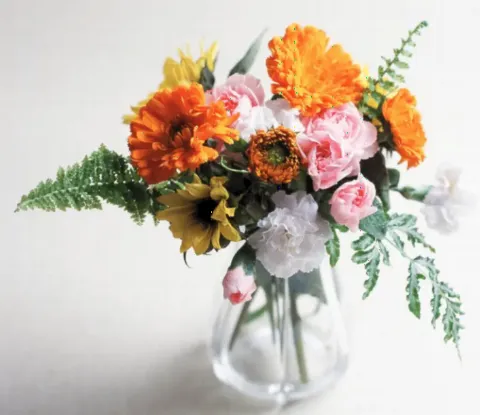 Transparent Arrangement.