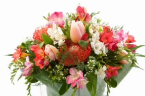 Intentional Arrangement