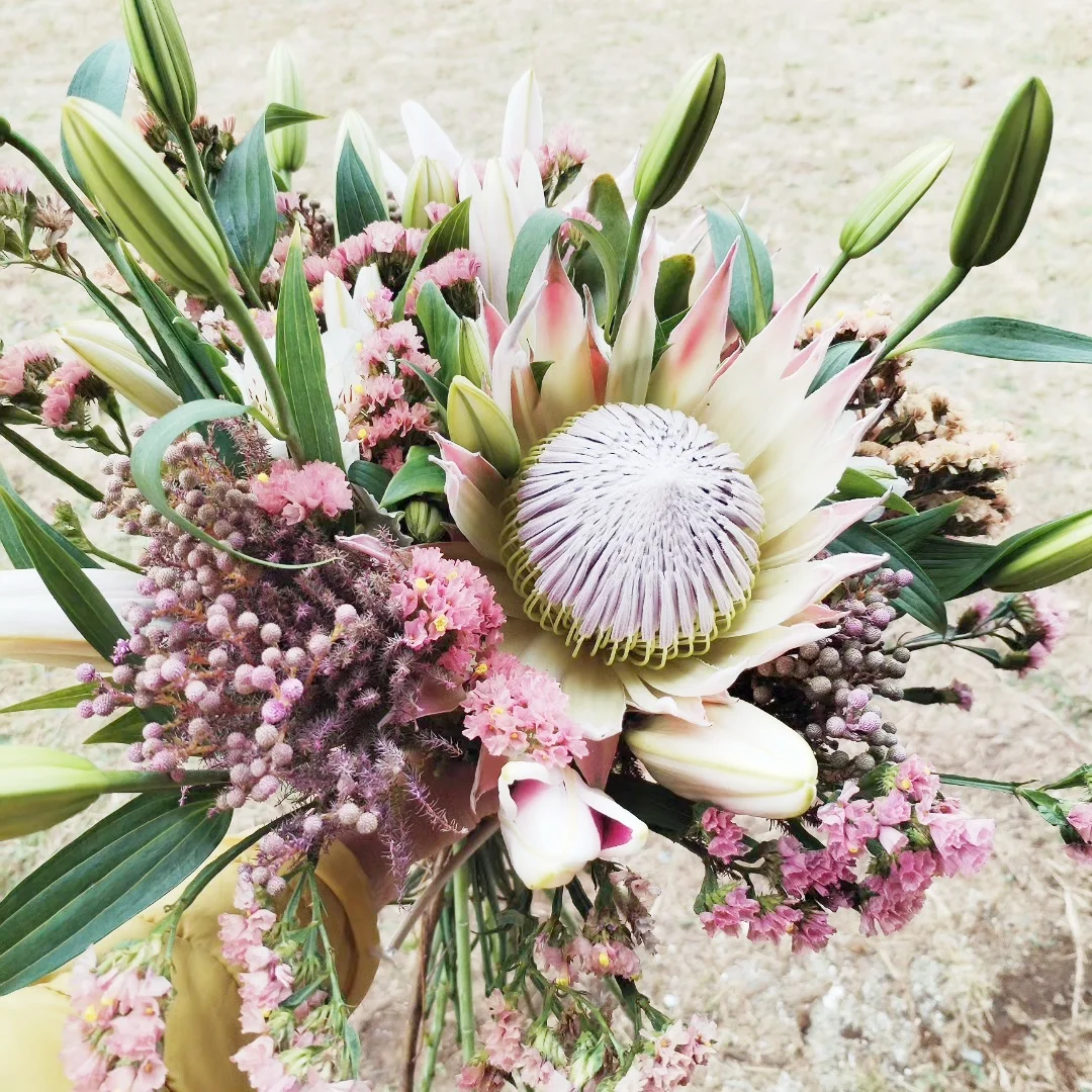 Protea Lilly Bliss